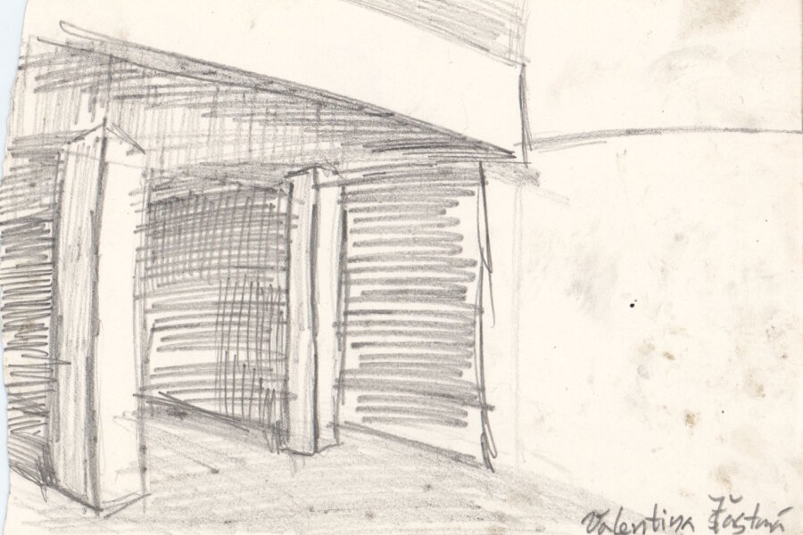 Valentina Šťastná, 3. ročník 